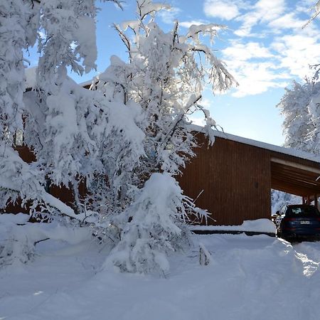 Chalet Cipres Las Trancas Εξωτερικό φωτογραφία