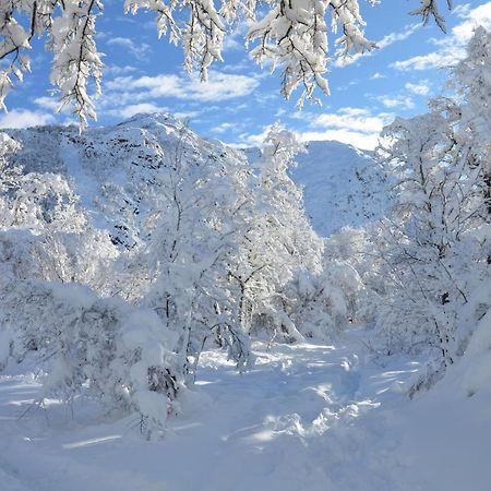 Chalet Cipres Las Trancas Εξωτερικό φωτογραφία