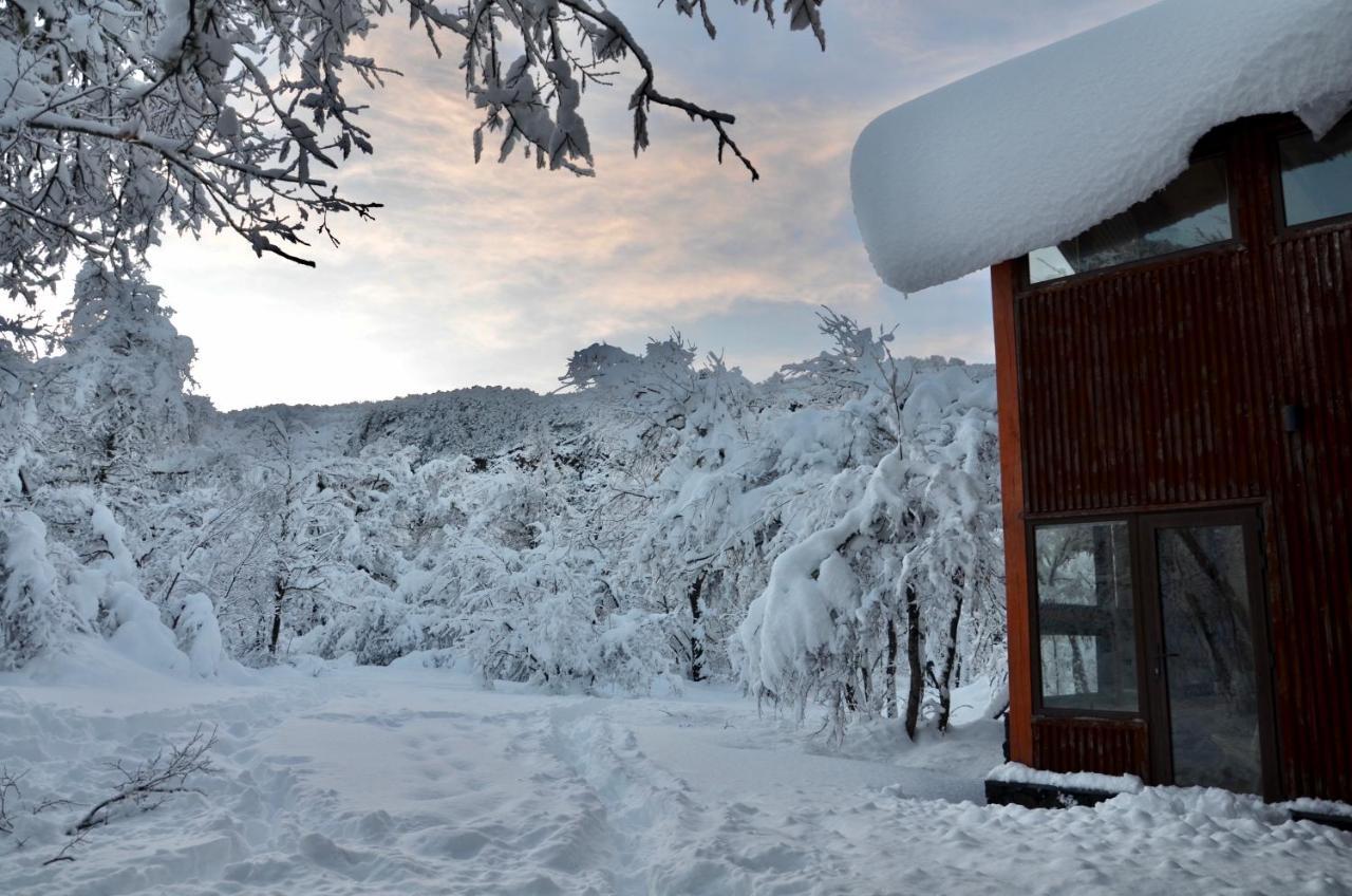 Chalet Cipres Las Trancas Εξωτερικό φωτογραφία