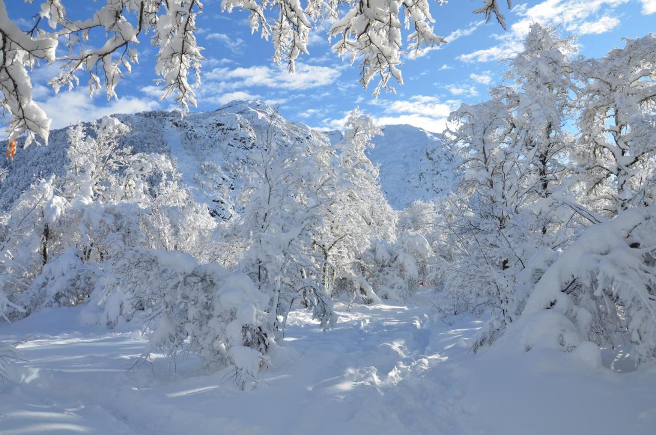 Chalet Cipres Las Trancas Εξωτερικό φωτογραφία