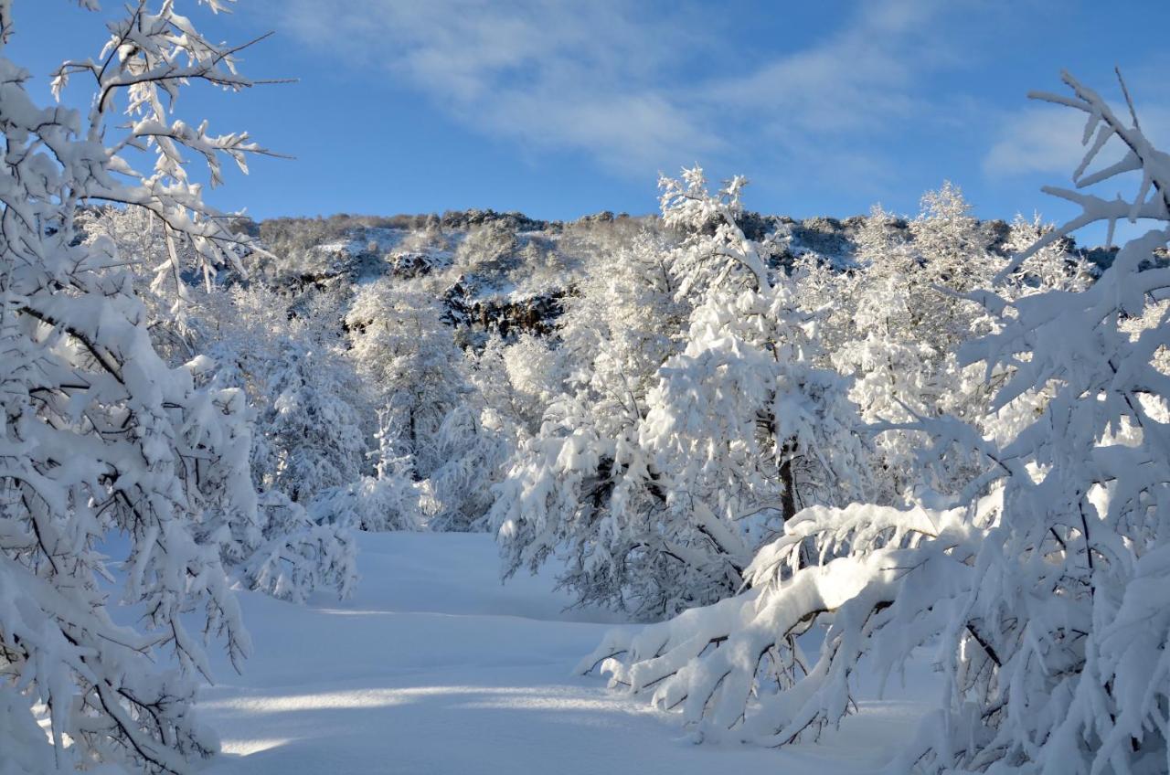 Chalet Cipres Las Trancas Εξωτερικό φωτογραφία