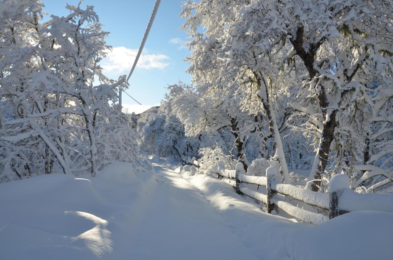 Chalet Cipres Las Trancas Εξωτερικό φωτογραφία