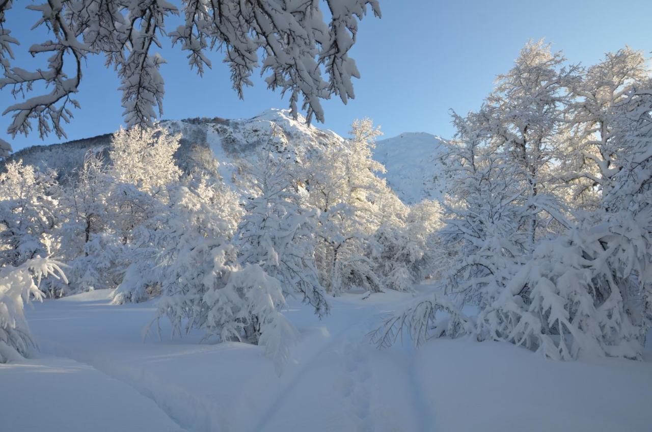 Chalet Cipres Las Trancas Εξωτερικό φωτογραφία