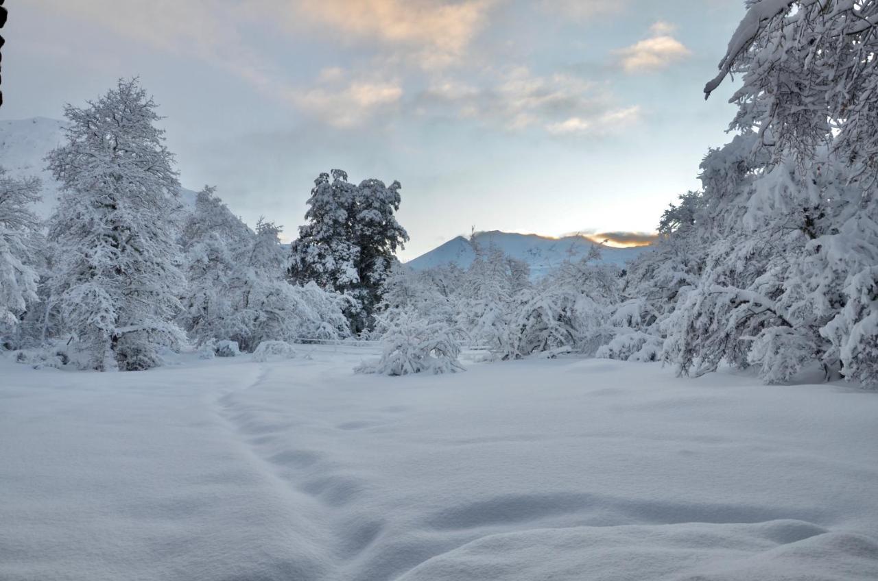 Chalet Cipres Las Trancas Εξωτερικό φωτογραφία
