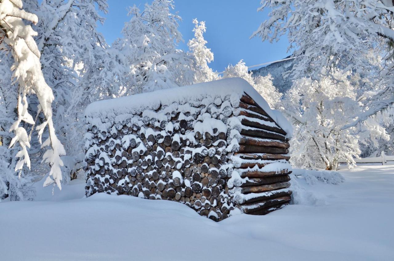 Chalet Cipres Las Trancas Εξωτερικό φωτογραφία