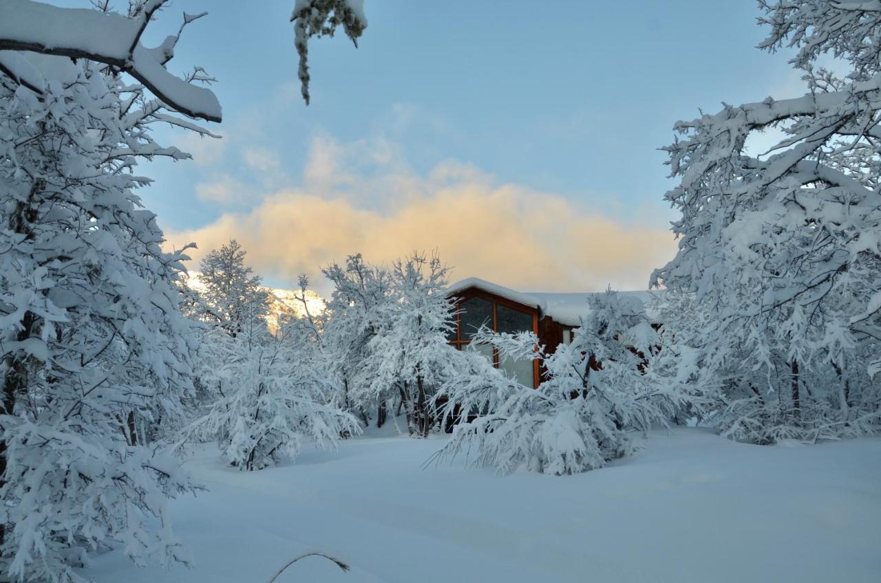 Chalet Cipres Las Trancas Εξωτερικό φωτογραφία
