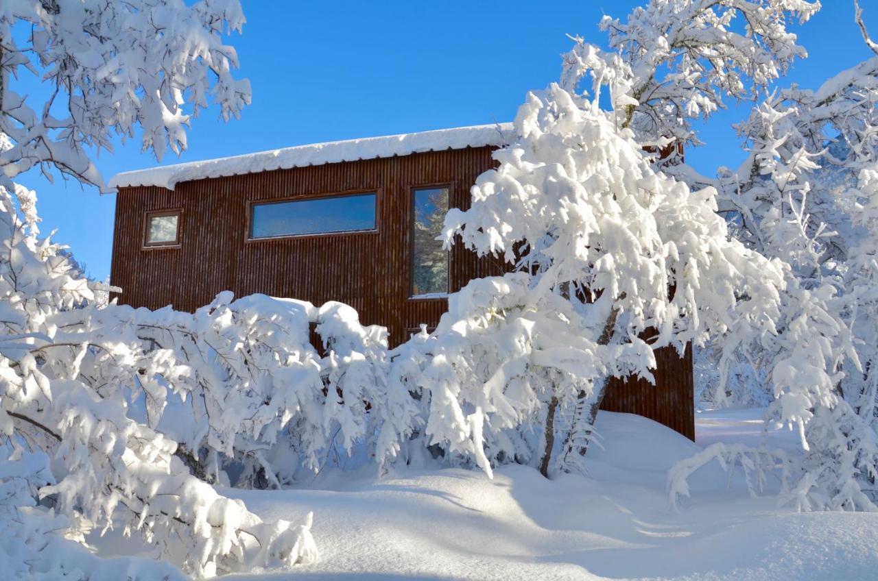 Chalet Cipres Las Trancas Εξωτερικό φωτογραφία