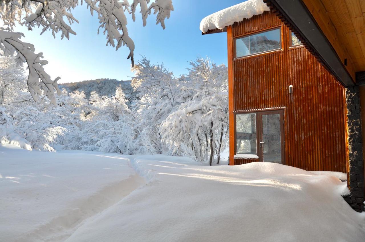Chalet Cipres Las Trancas Εξωτερικό φωτογραφία