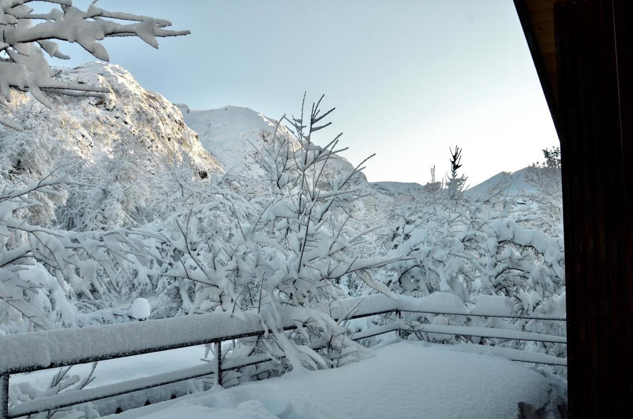 Chalet Cipres Las Trancas Εξωτερικό φωτογραφία
