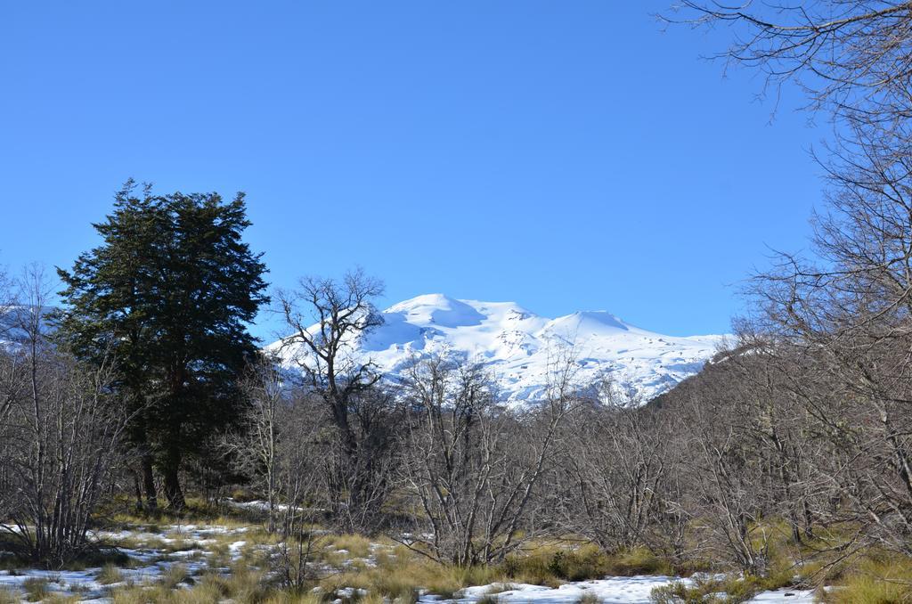 Chalet Cipres Las Trancas Εξωτερικό φωτογραφία