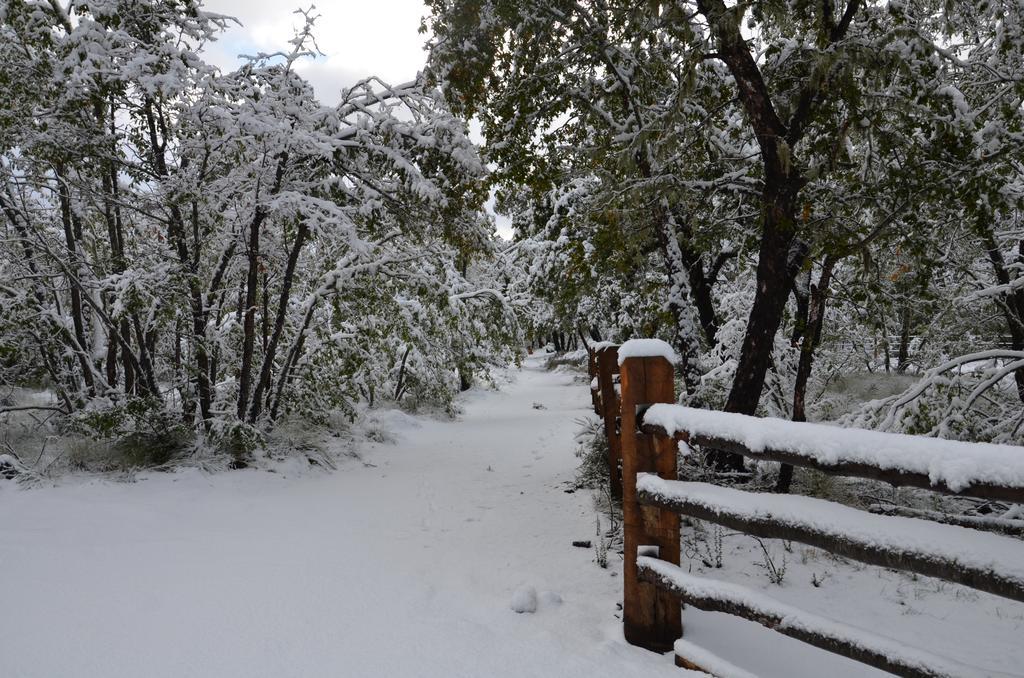 Chalet Cipres Las Trancas Εξωτερικό φωτογραφία