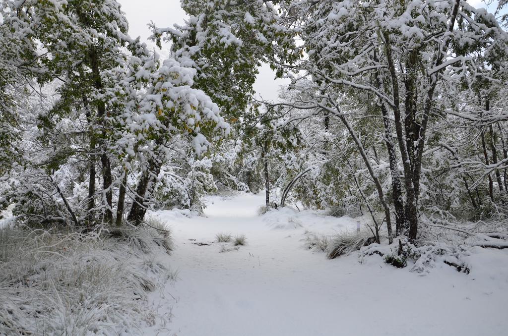 Chalet Cipres Las Trancas Εξωτερικό φωτογραφία