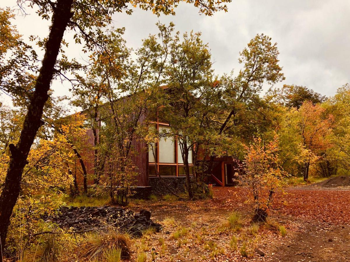 Chalet Cipres Las Trancas Εξωτερικό φωτογραφία