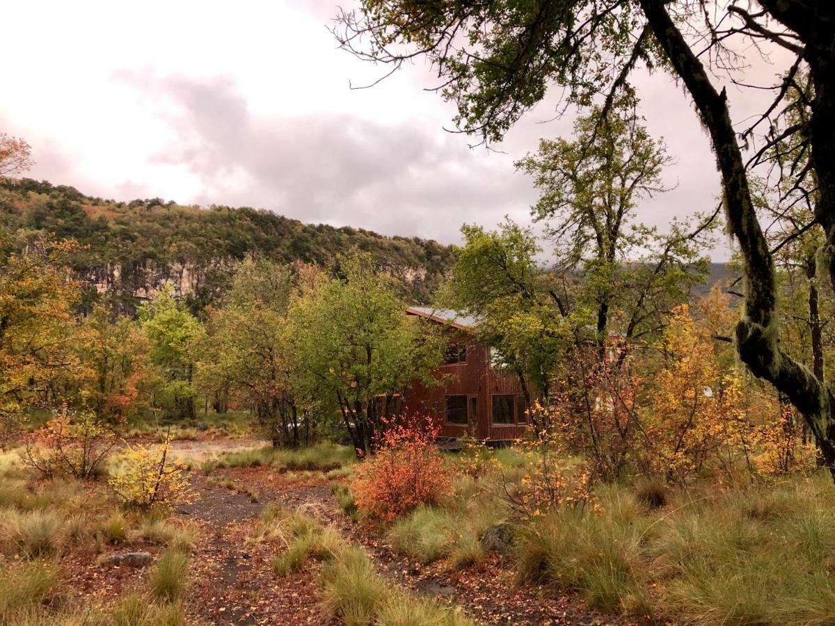 Chalet Cipres Las Trancas Εξωτερικό φωτογραφία