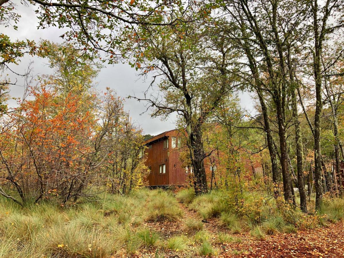 Chalet Cipres Las Trancas Εξωτερικό φωτογραφία